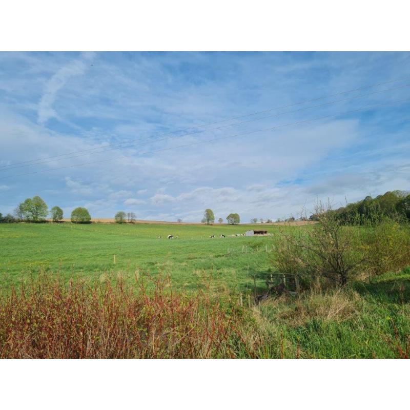 LORCY (St-Hubert) : Geheel van bouw- en landbouwgronden ( 2ha) – VAS1419B