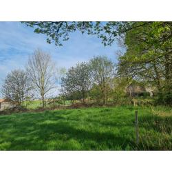LORCY (Saint-Hubert): Grote en mooie bouwgrond (1ha7a69ca) – VAS1430