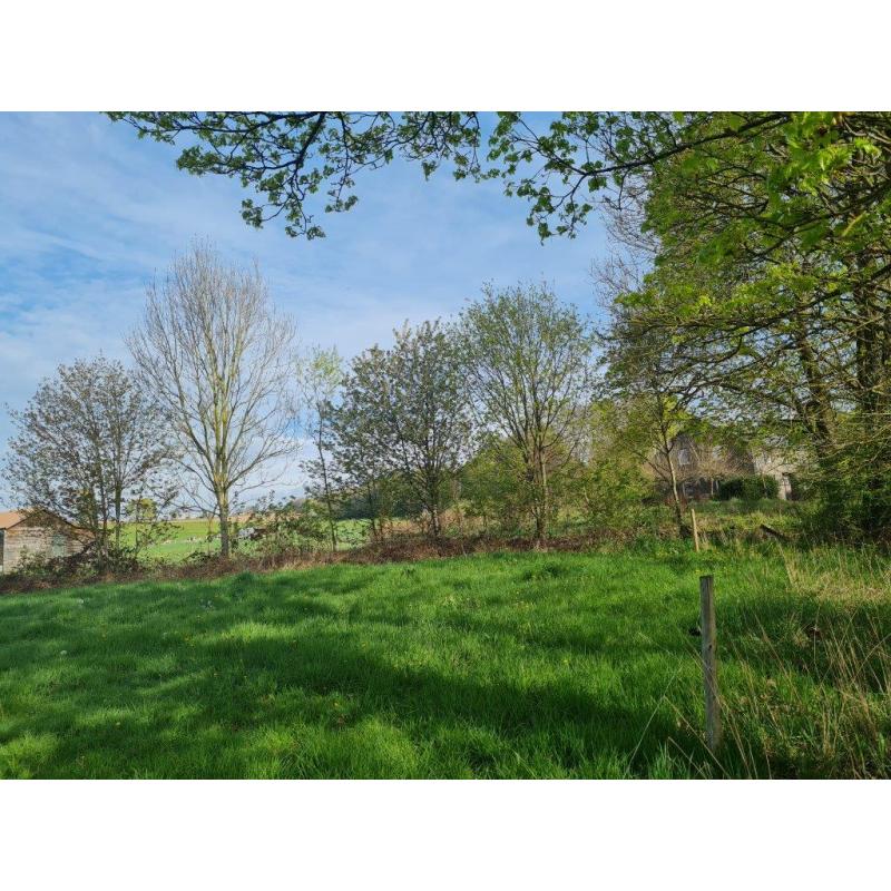 LORCY (Saint-Hubert): Grote en mooie bouwgrond (1ha7a69ca) – VAS1430