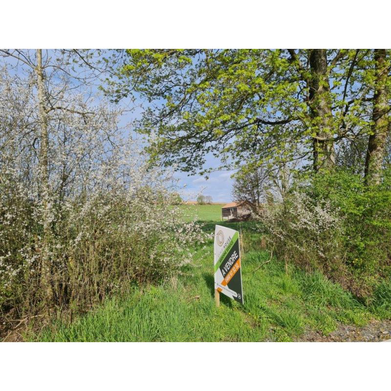 LORCY (Saint-Hubert): Grote en mooie bouwgrond (1ha7a69ca) – VAS1430