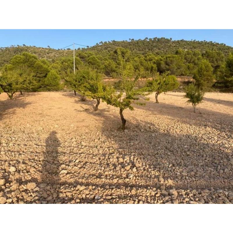 Spanje Bouw grond te koop