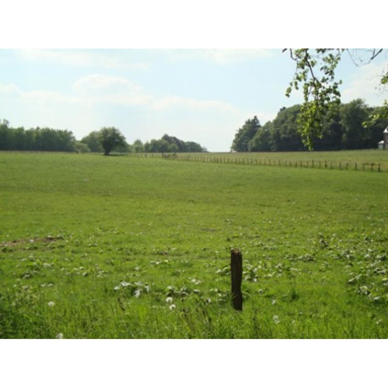 OURT (Libramont): Bouwgrond, 12a48ca - VAS1355