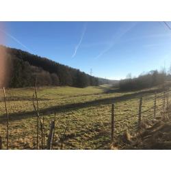 HOMPRE (Vaux-sur-Sûre) : bouwgrond – VAS1361B