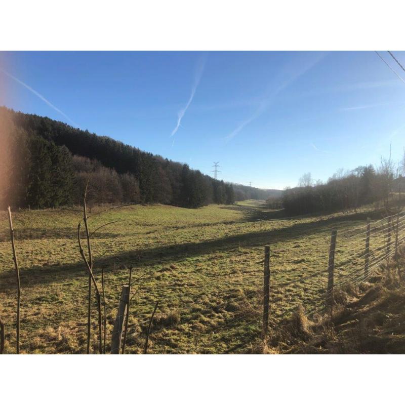 HOMPRE (Vaux-sur-Sûre) : bouwgrond – VAS1361B