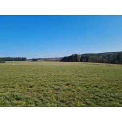 MIERCHAMPS – La Roche : bouwgrond, 14a46ca – VAS1375B