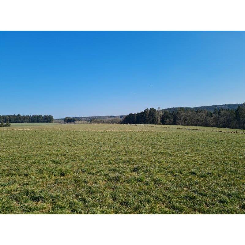 MIERCHAMPS – La Roche : bouwgrond, 14a46ca – VAS1375B