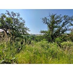 HOUYET : Grond in een bosrijke omgeving, 11a39ca - VAS1450