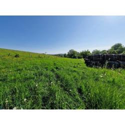 LES HAYONS: prachtig gelegen bouwgrond,  -40are - VAS1426
