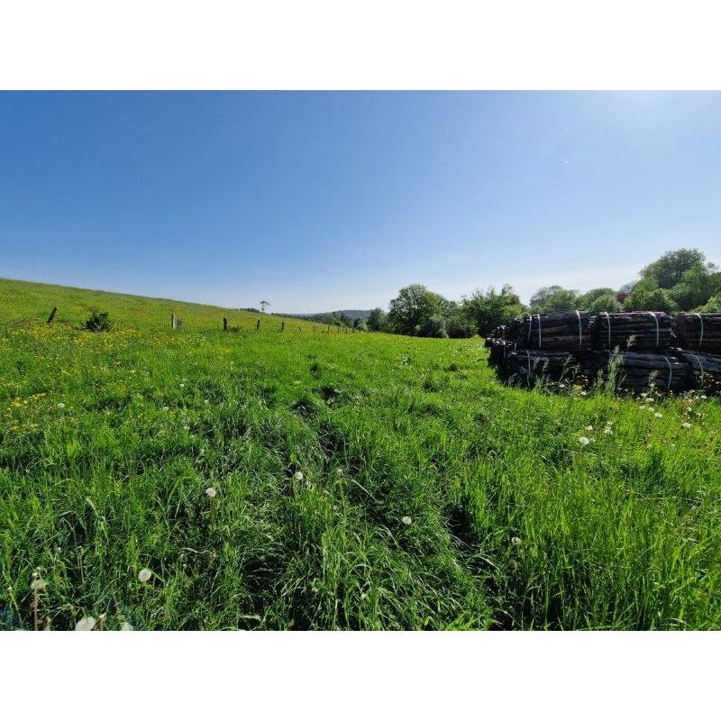 LES HAYONS: prachtig gelegen bouwgrond,  -40are - VAS1426