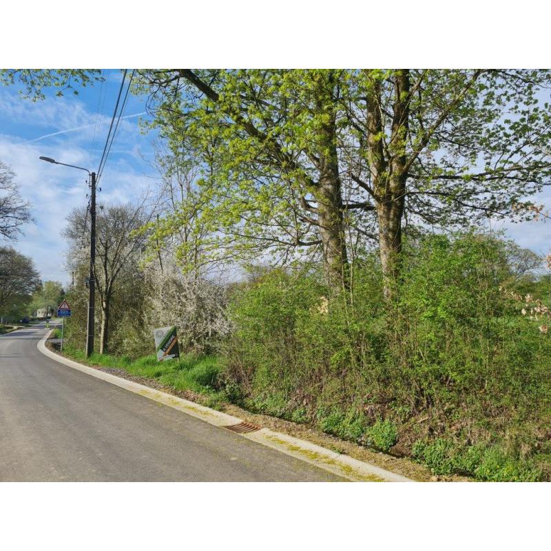 LORCY (Saint-Hubert): Grote en mooie bouwgrond (1ha7a69ca) – VAS1430