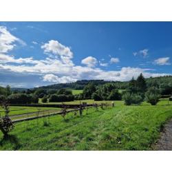 DOHAN, REGIO SEMOIS: grond van 39a 79ca – VAS1454