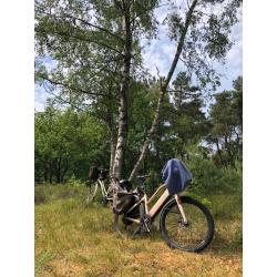 Speedepedelec Stromer ST1