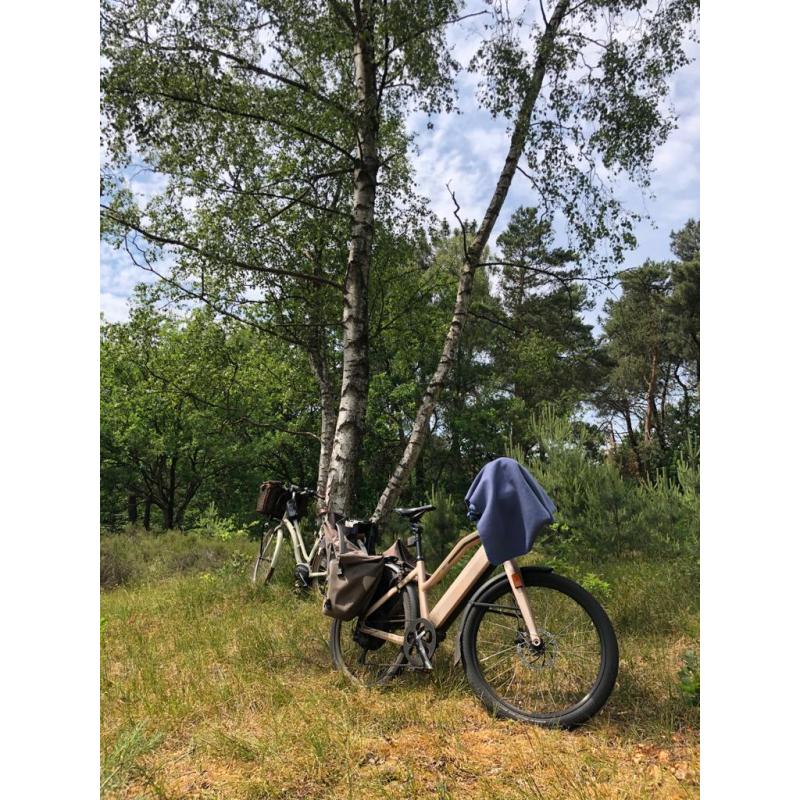 Speedepedelec Stromer ST1