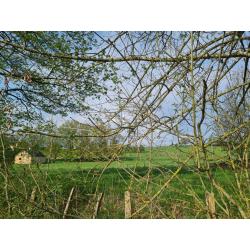 LORCY (Saint-Hubert): Grote en mooie bouwgrond (1ha7a69ca) – VAS1430