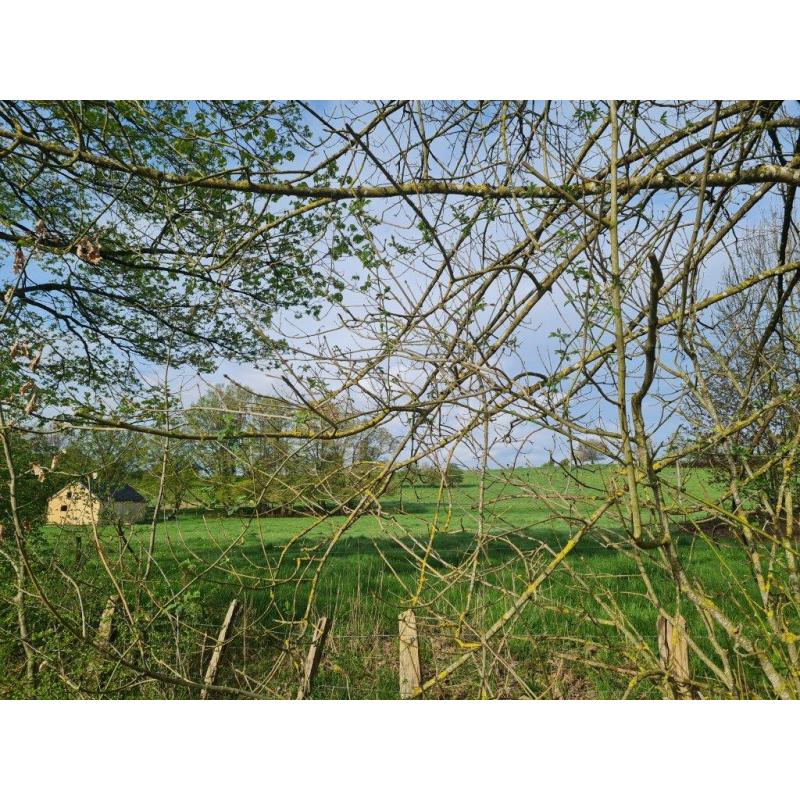 LORCY (Saint-Hubert): Grote en mooie bouwgrond (1ha7a69ca) – VAS1430