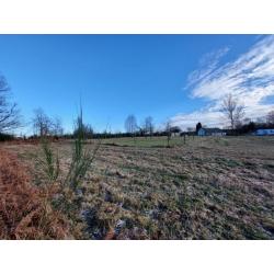 SAINT-MEDARD (Herbeumont) : Rustig gelegen grond,  -20a – VAS1467
