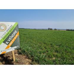 HAUT-FAYS (Daverdisse): bouwgrond, 9a46ca – VAS1323A