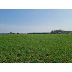 HAUT-FAYS (Daverdisse): bouwgrond, 9a46ca – VAS1323A