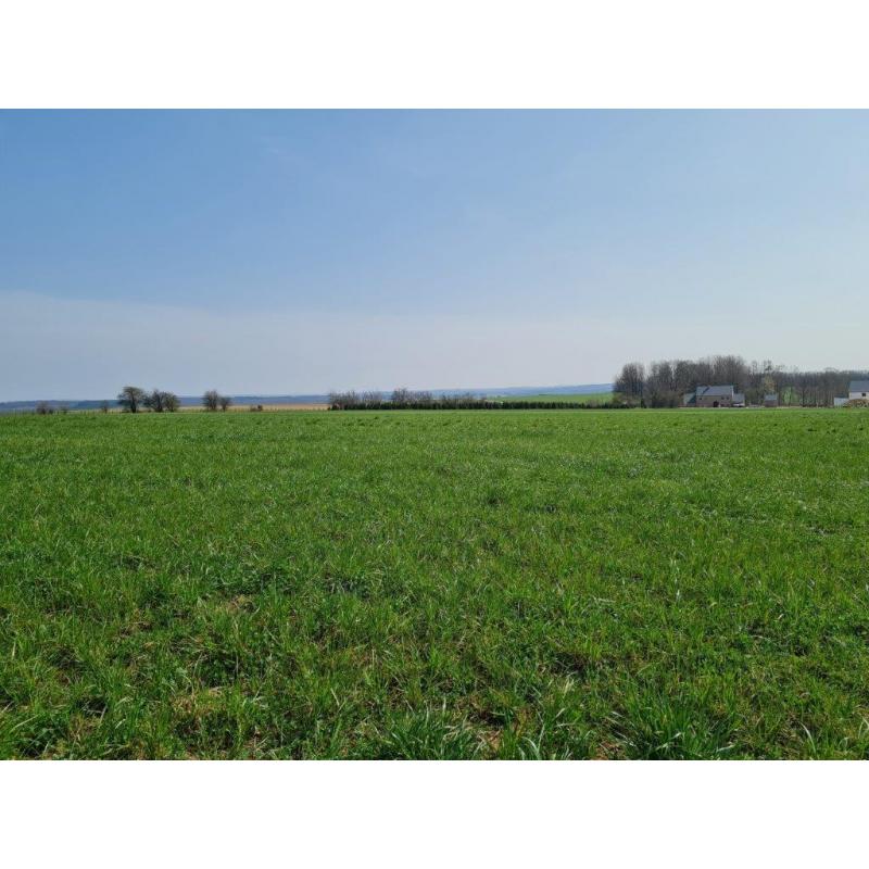 HAUT-FAYS (Daverdisse): bouwgrond, 9a46ca – VAS1323A