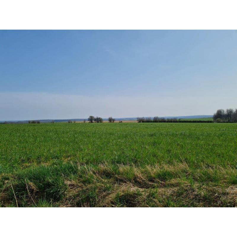 HAUT-FAYS (Daverdisse): bouwgrond, 9a46ca – VAS1323A