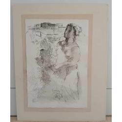 collectie