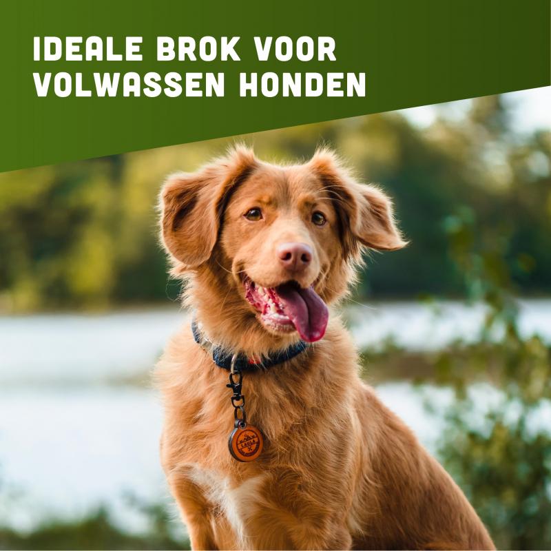 Graanvrije hondenbrokken van BROK - Lam & munt