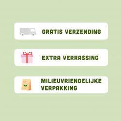 Graanvrije hondenbrokken van BROK - Lam & munt