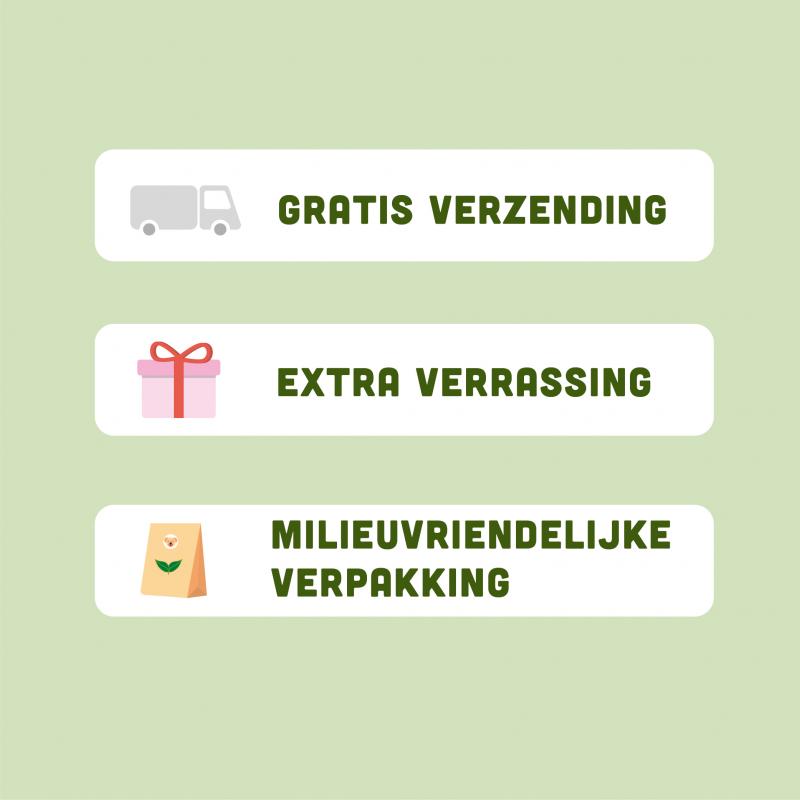 Graanvrije hondenbrokken van BROK - Lam & munt