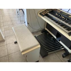 Prachtig Leslie orgel Hammond