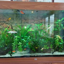 Juwel aquarium 350 l met meubel