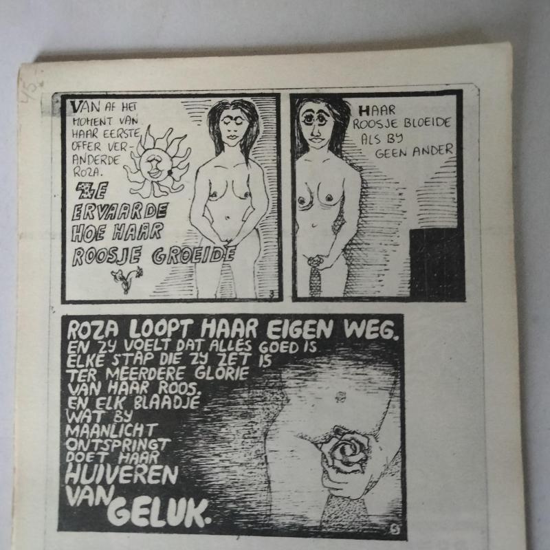 Robert Olaf Stoop's ROZA'S Lotgevallen deel 1" SUPER DE LUX" editie 1966