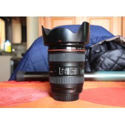 canon 24-105 4L