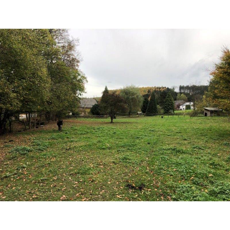 BASSE-BODEUX (Trois-Ponts): Bouwgrond – VAS1418