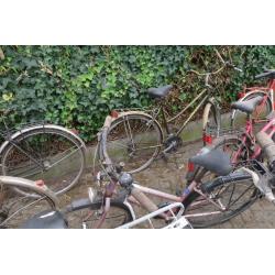 fietsen 16 stuks vintage