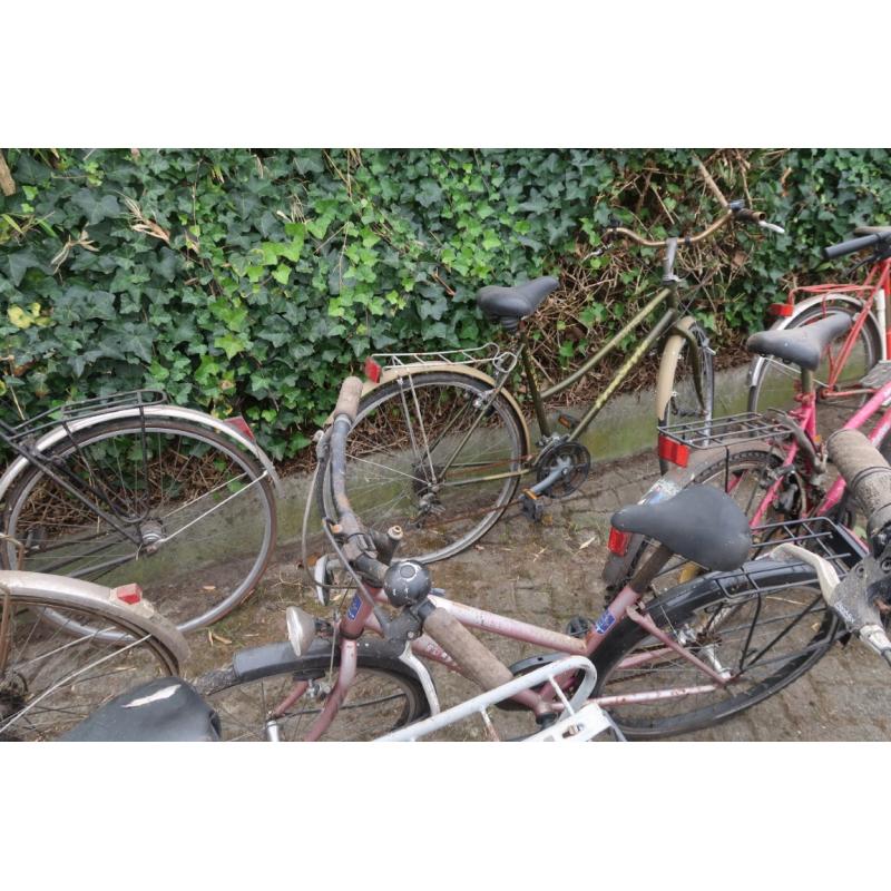 fietsen 16 stuks vintage