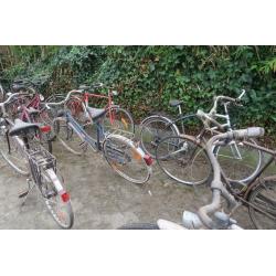 fietsen 16 stuks vintage