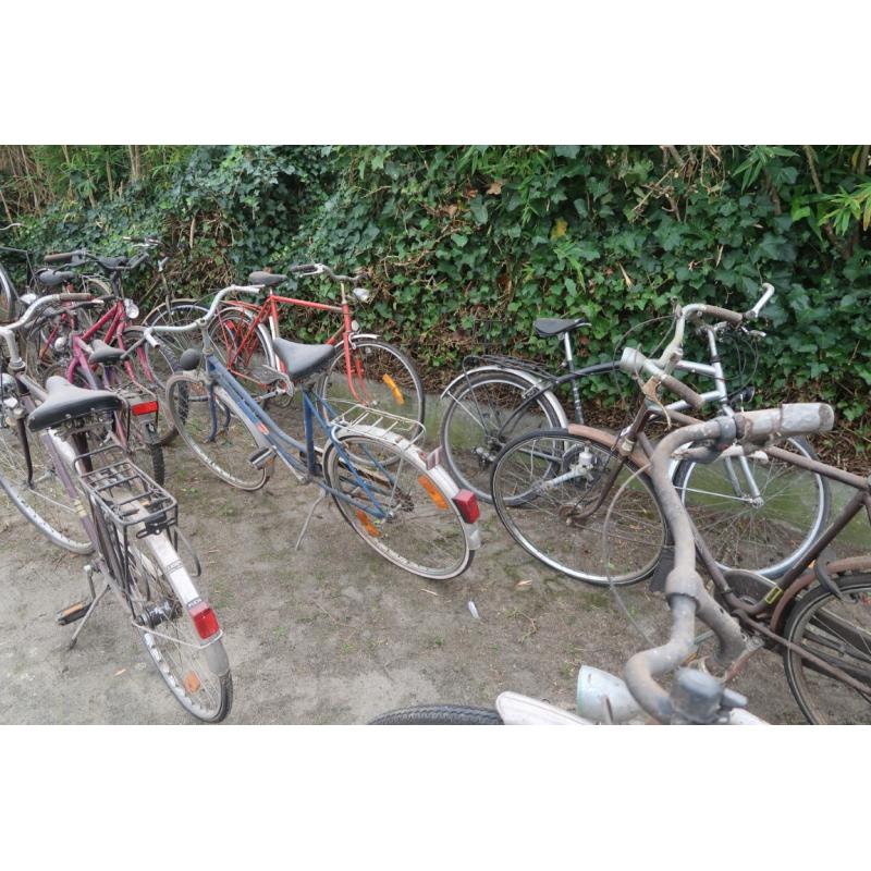fietsen 16 stuks vintage