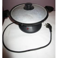 elektrische kleine wokpan