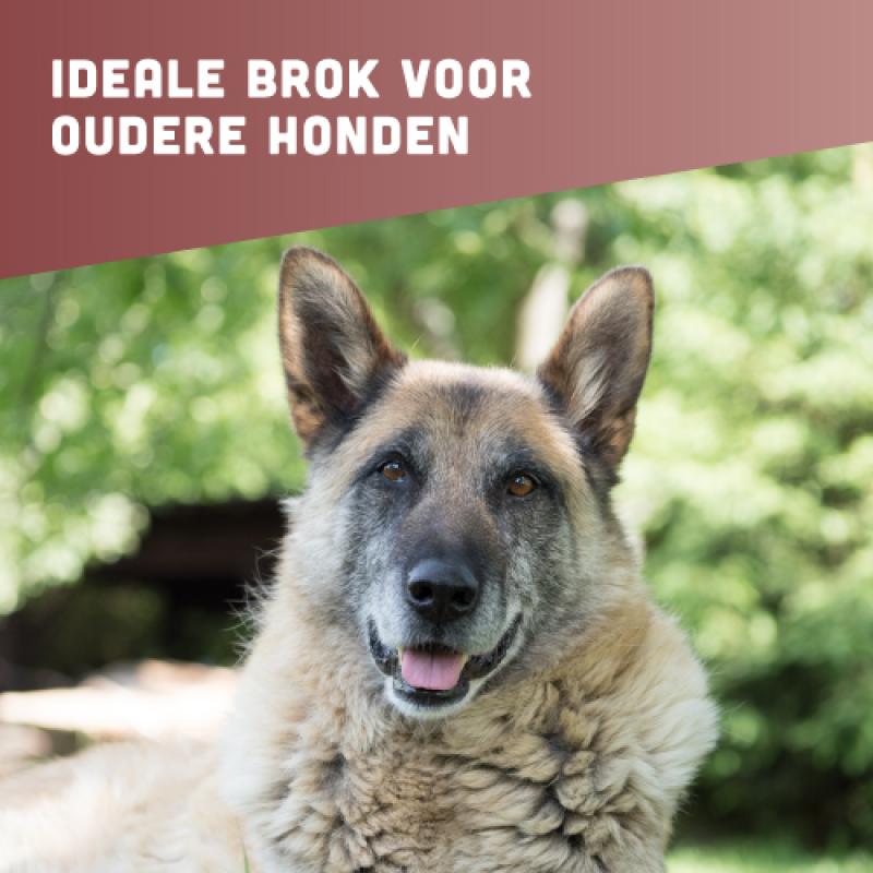 Graanvrije Senior hondenvoer van BROK - Kalkoen & Veenbessen