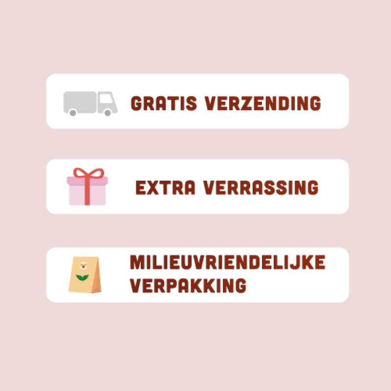 Graanvrije Senior hondenvoer van BROK - Kalkoen & Veenbessen
