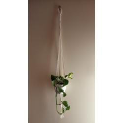 Plantenhanger Basic Deluxe