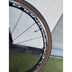 Te koop SPORTIVO FUOCO FULL CARBON