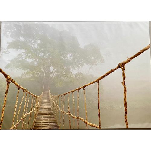 Hangbrug in de mist