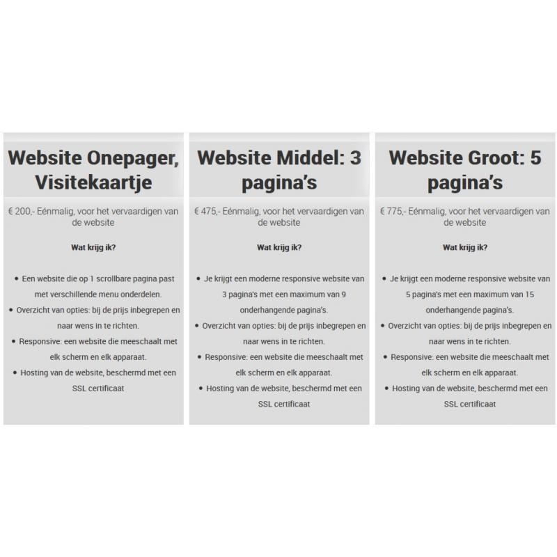 Website laten bouwen! Modern, professioneel, goed geprijsd