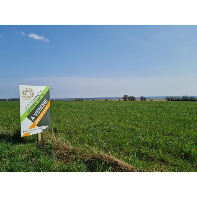 HAUT-FAYS (Daverdisse): Bouwgrond, 10a01ca – VAS1323B