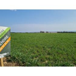 HAUT-FAYS (Daverdisse): Bouwgrond, 10a01ca – VAS1323B