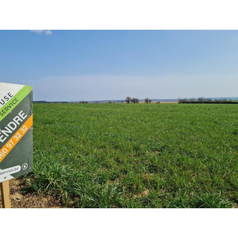 HAUT-FAYS (Daverdisse): Bouwgrond, 10a01ca – VAS1323B