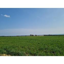 HAUT-FAYS (Daverdisse): Bouwgrond, 10a01ca – VAS1323B