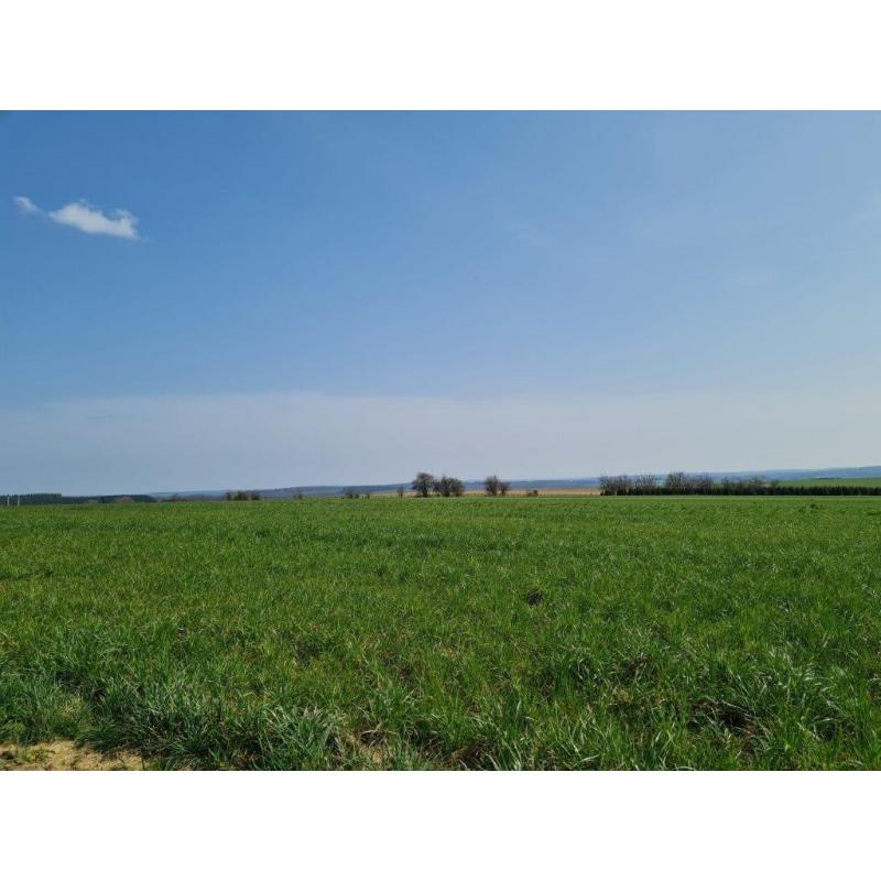 HAUT-FAYS (Daverdisse): Bouwgrond, 10a01ca – VAS1323B
