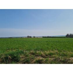 HAUT-FAYS (Daverdisse): Bouwgrond, 10a01ca – VAS1323B